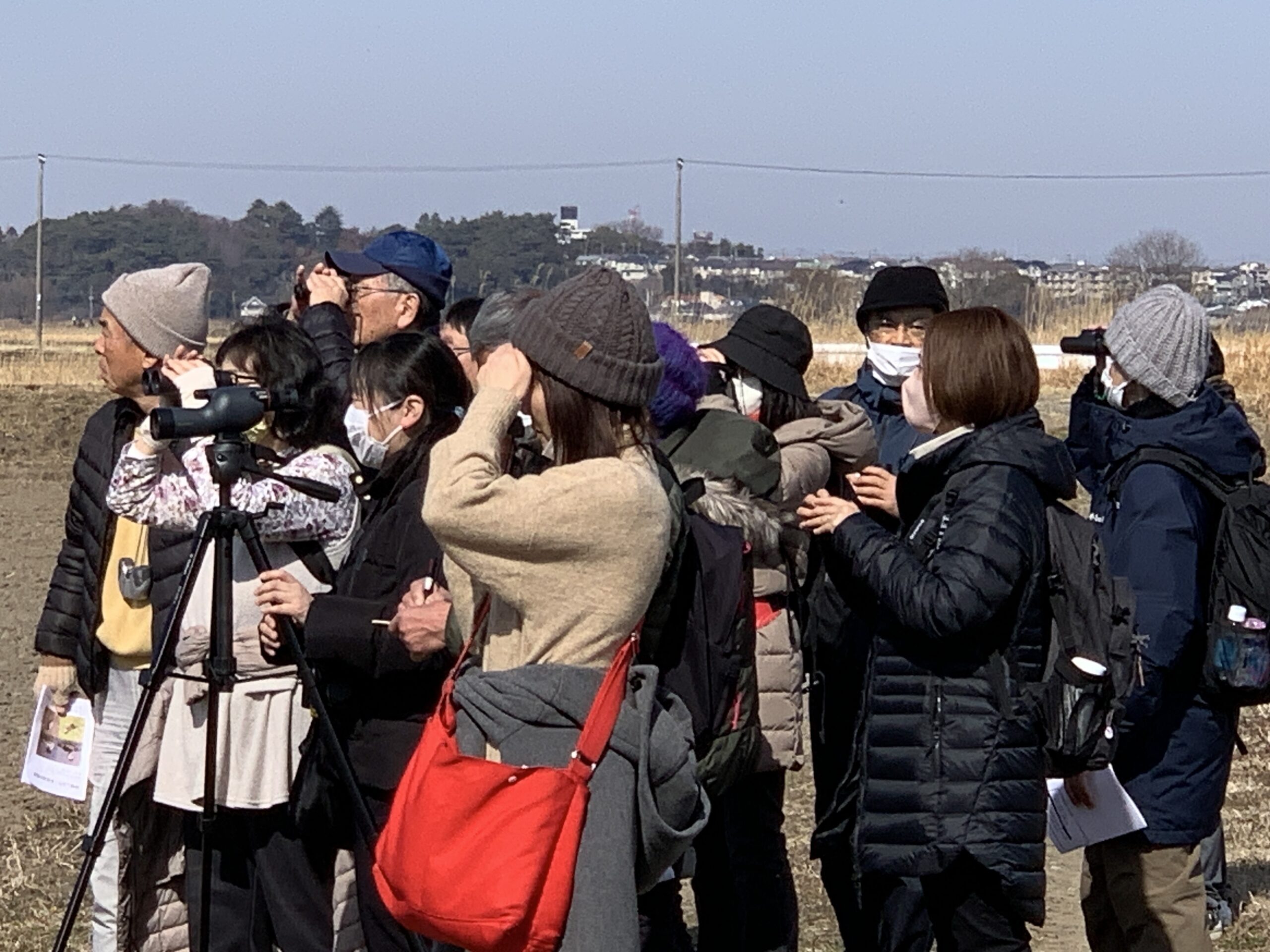 【参加者募集】イベント「観察しよう！手賀沼の冬鳥」