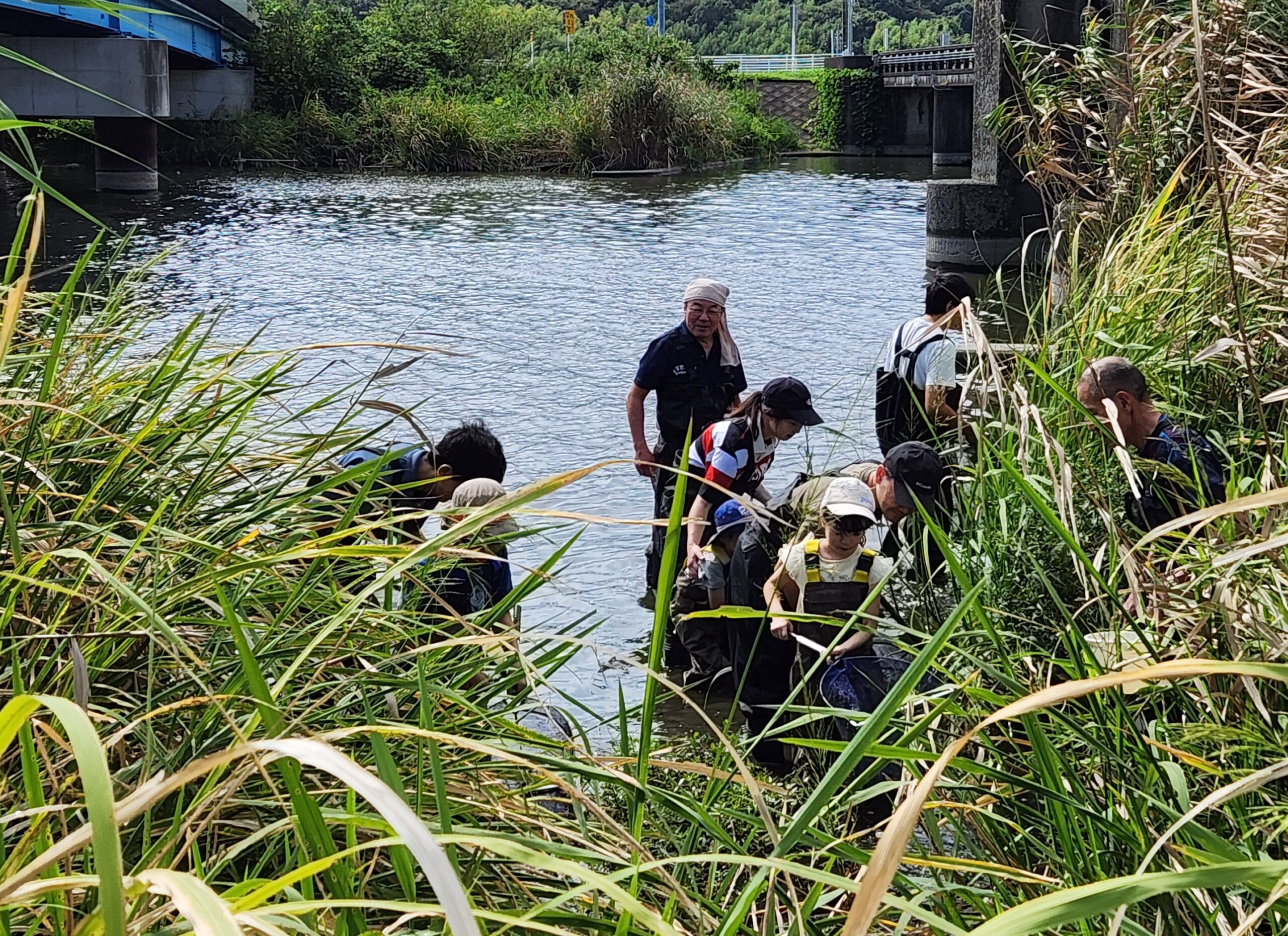 【参加者募集】イベント「手賀沼うき浮き魚ッチ！」
