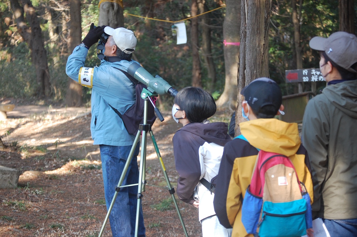 【参加者募集】イベント「手賀の丘自然観察会～②観察しよう！手賀沼の冬鳥～」
